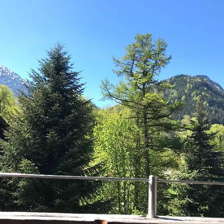 Rohrmoser